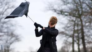 CARLOW WEATHER: Strong winds and isolated thunderstorms expected today (January 11)