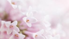 Death notices and funeral arrangements in Carlow - Thursday 5th October 2023