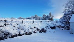 Temperatures plummet to -5.8C with warnings in place as cold snap 'not going anywhere'