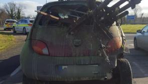 PICTURE: Gardaí make shocking road traffic stop at Operation Thor checkpoint on M9 