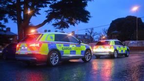 Gardaí raid South East premises as part of horse meat investigation 