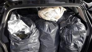 PICTURE: €500,000 worth of cannabis seized on the M9 motorway after joint operation 