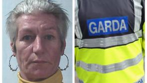 Garda&iacute; renew appeal to the public in effort to find woman missing in the South East 