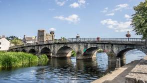'Outstanding work', Leighlinbridge win gold medal at Tidy Towns 2023 for the county