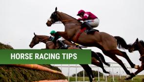 Cheltenham Tips: Horses that could make you a fortune at Cheltenham 2019