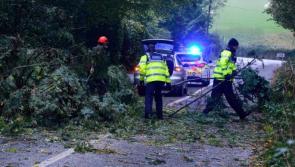 ALERT: Gardaí issue roads warning as Storm Hannah looks set to bring severe winds 