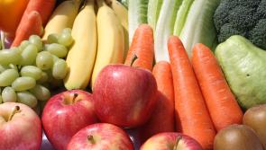 Four Carlow businesses win at Ireland's biggest food awards 