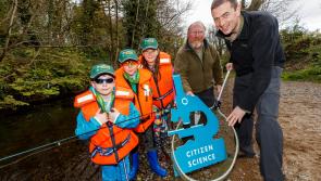 Appeals to anglers in Carlow to become citizen scientists as part of the National Salmon Scale Project