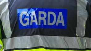 Man dies in farm accident in the South East after suffering fatal injuries