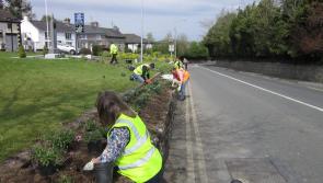 'Is there anyone who can help?' Local Tidy Towns group issues appeal for new container 