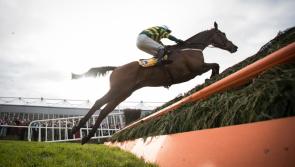 Carlow based trainer Willie Mullins rolls out big guns for opening day at Punchestown