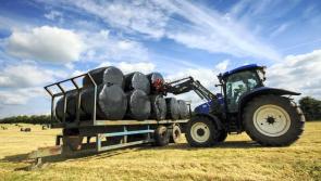 Online applications for 'crucial' €56m fodder support scheme now open for farmers in Carlow 