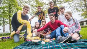 PICTURES: Family Fun Day with Kilkenny hurlers to take place at Gowran Park in June 
