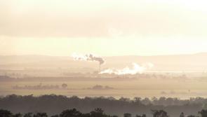 South East town fast becoming 'New Delhi of Ireland' over air pollution, expert warns 