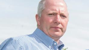 Graiguecullen Glanbia manager appointed President of Irish Seed Trade Association