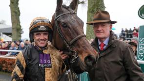 Revealed: New report reveals racing industry supports 2,400 jobs in Carlow and Kilkenny