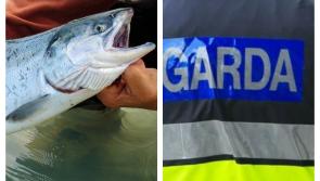 BEWARE: Carlow people be advised of a rogue website selling fraudulent fishing licenses 