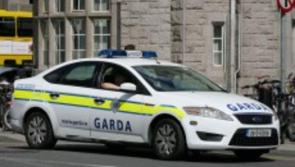 Kilkenny/Carlow Drugs Unit seize €12,000 worth of cannabis in playground 
