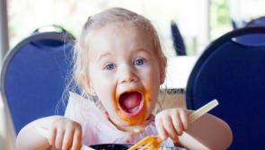 Parents in Carlow would benefit from guidance on children's food phobias - Safefood study