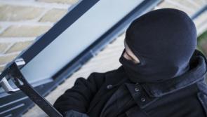 Gaming console and phone among items stolen in Carlow burglary