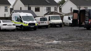 UPDATED: Historic skull found at new building site on Carlow road outside Athy 