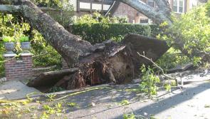 ALERT: Health and Safety Authority issues Storm Lorenzo warning to workers and farmers
