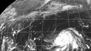 UPDATE: Typhoon Hagibis results in cancellation of two Rugby World Cup matches