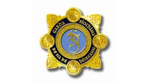 Gardaí appeal to anyone who wishes to report a Mother and Baby Home crime to get in touch