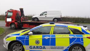 PICTURE: Van driver 'on learner permit for 8 years' stopped by Gardaí in Kildare 