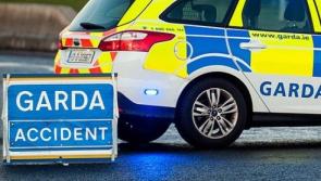 Gardaí appeal to public for information on collision between Carlow and Laois