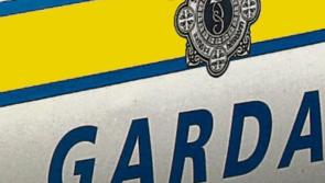 ALERT: Woman scammed out of cash by con artist on Carlow/Kilkenny border 