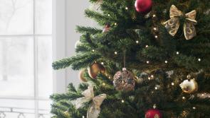 Carlow people! Ten Christmas hazards to avoid this festive season in the Dolmen County 