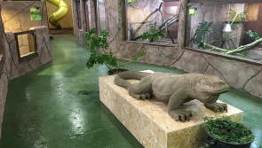 Revealed: Great reaction as National Reptile Zoo opens in neighbouring county 