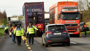 Almost 50 people arrested by Gardaí during Operation Storm and cannabis growhouse detected