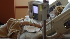 UPDATE: Two Irish passengers have tested positive for the coronavirus in Japan 