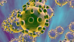 BREAKING: CMO warns of a 'large number of new Covid-19 cases' in time ahead as daily figures revealed
