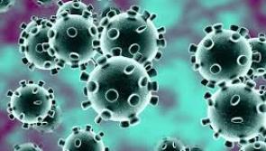 UPDATE: Second case of coronavirus confirmed in the east of Ireland after woman diagnosed 