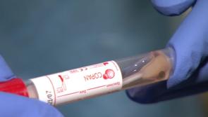 Irish health watchdog publishes latest findings on long term immunity from Covid-19