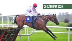 Cheltenham Tips: The horses to back on Day 1 of Cheltenham 2020