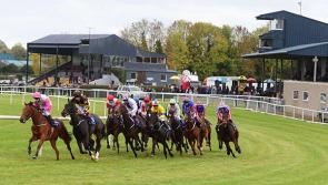 Irish racecourses get ready to welcome back increased crowds