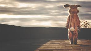 Important news for children! Easter Bunny considered an essential worker during pandemic