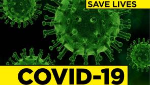 Highest jump in Covid-19 cases so far as 500 new cases confirmed with Carlow now at sixteen