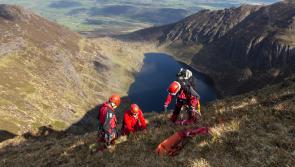 WATCH: Miraculous rescue of working sheep dog stuck on mountains in the South East 