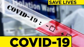 More than 100 people in Ireland on ventilators being treated for Covid-19