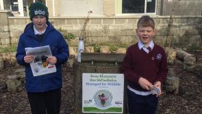 Five projects from Carlow reach the final of the Young Environmentalist Awards