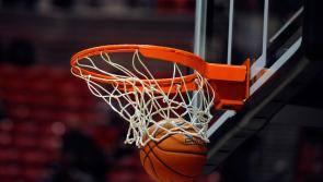 Funding of just under €15,000 confirmed for accessible basketball court in Carlow 