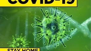 LATEST: Covid-19 death rate drops back to early March levels as 84% recover from virus 
