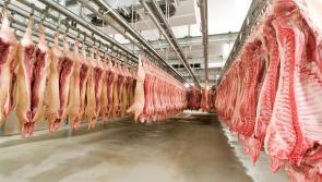 WARNING: Illegally processed meat products recalled by Food Safety Authority of Ireland