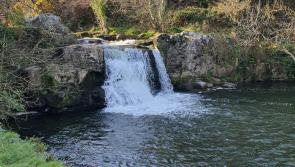 Carlow/Kilkenny Gardaí turn crowds away from popular waterfall in the South East 