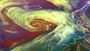 'Hold on to your hat and trampoline,' windy weather expected to last into the weekend 